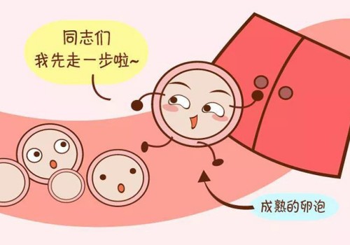 这些经验可以帮助鲜胚移植成功，早点了解早点用上